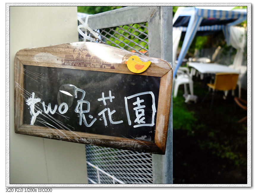 綠萼春風-蹓兔區 綠萼春風-蹓兔區