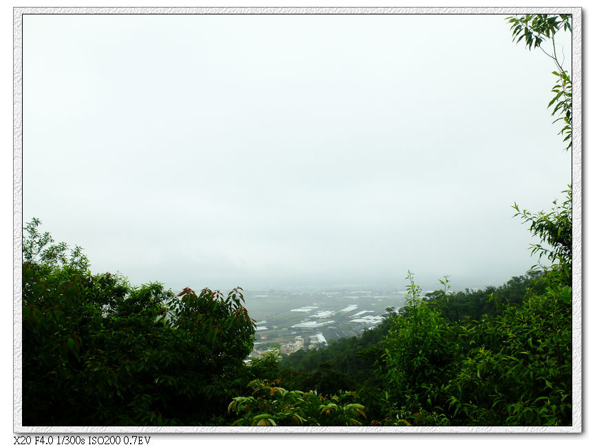 電塔看到的風景