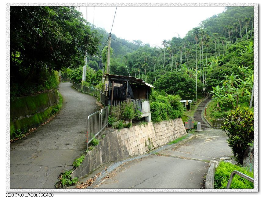 轉往6號,左邊產業道路右邊往步道,都通寧靜海觀音亭