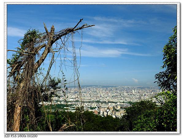 市區景色