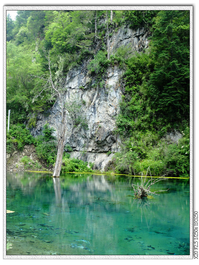 龍王海