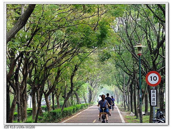 東豐綠廊