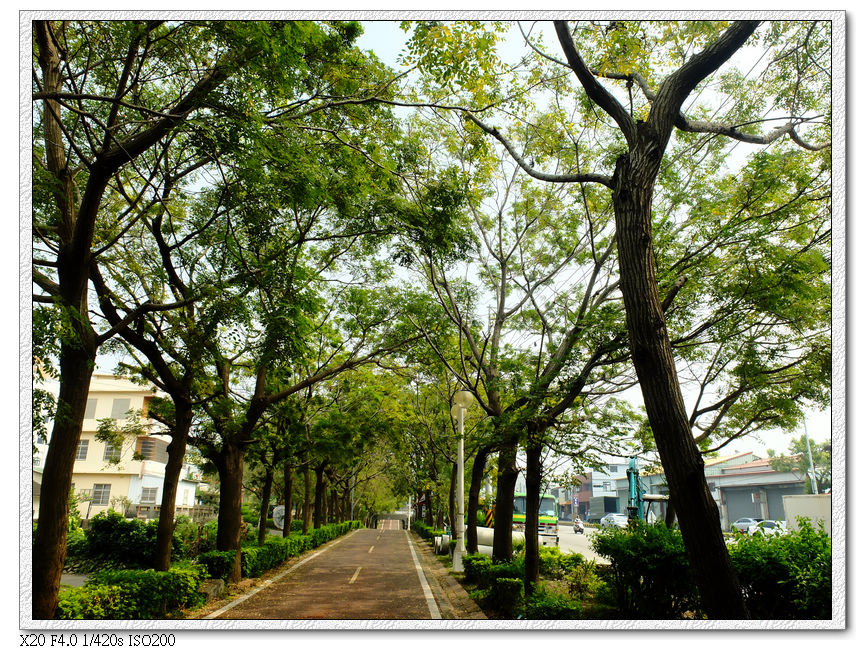 東豐綠廊