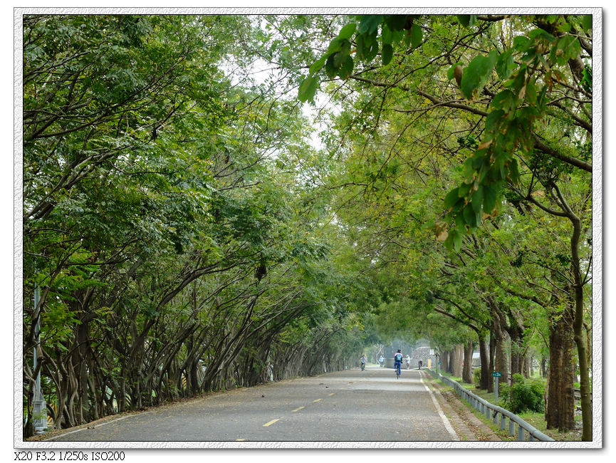 東勢站,道路明顯寬闊許多,因為以前林鐵時代這邊是大站,各種設施,站場很大