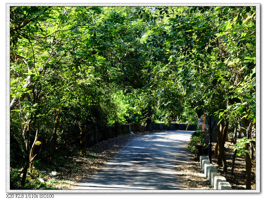 一路柏油路