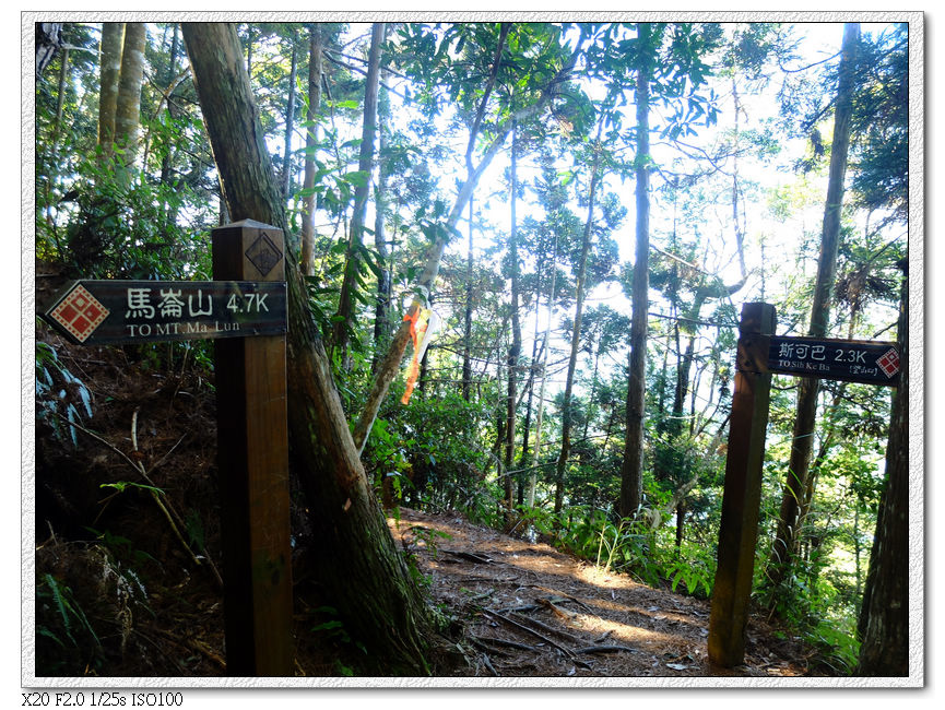 13:01 2.3km處三叉路口,轉往觀景台50m