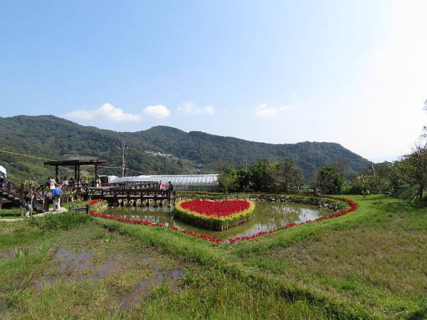 IMG_4464.JPG IMG_4464.JPG