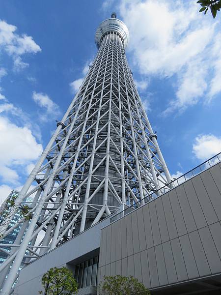 IMG_2668.JPG IMG_2668.JPG