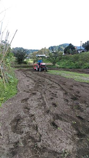 IMAG0830.jpg124120494