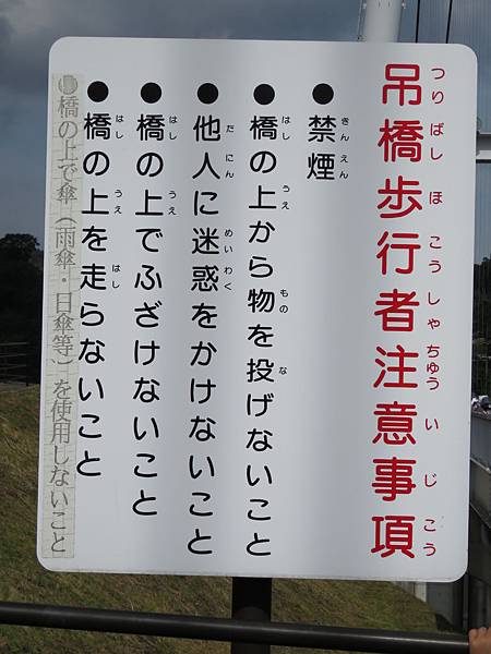 IMG_1558.JPG IMG_1558.JPG