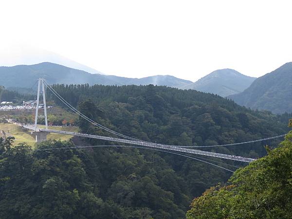 IMG_1577.JPG IMG_1577.JPG