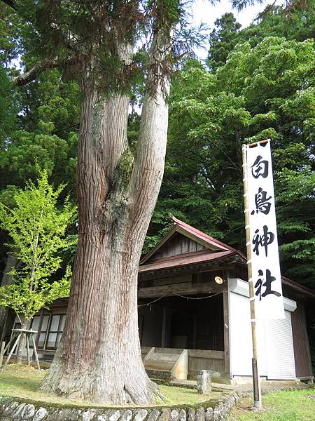 IMG_1584.JPG IMG_1584.JPG