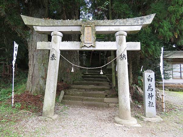 IMG_1585.JPG IMG_1585.JPG