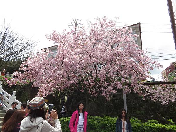 IMG_5681.JPG IMG_5681.JPG