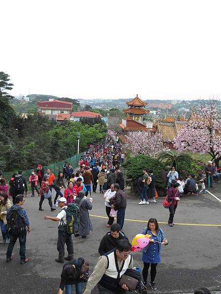 IMG_5708.JPG IMG_5708.JPG