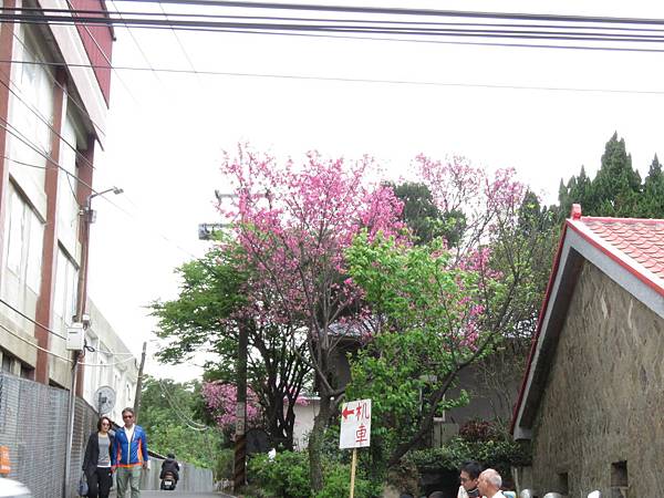 IMG_5731.JPG IMG_5731.JPG