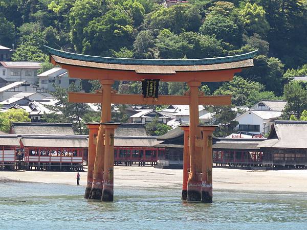 IMG_5936.JPG IMG_5936.JPG