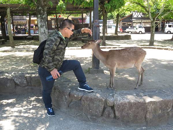 IMG_5942.JPG IMG_5942.JPG