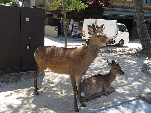 IMG_5958.JPG IMG_5958.JPG