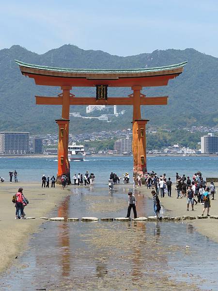 IMG_5977.JPG IMG_5977.JPG