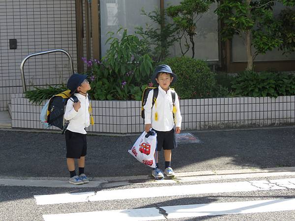 IMG_6012.JPG IMG_6012.JPG