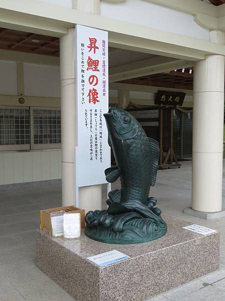 IMG_6026.JPG IMG_6026.JPG