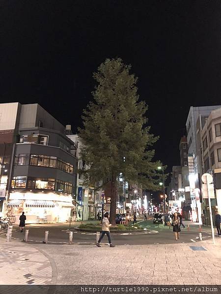 IMG_3429.jpg IMG_3429.jpg