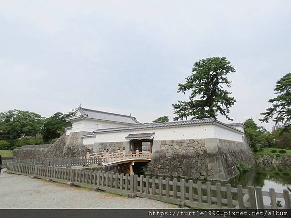 IMG_6631.JPG IMG_6631.JPG