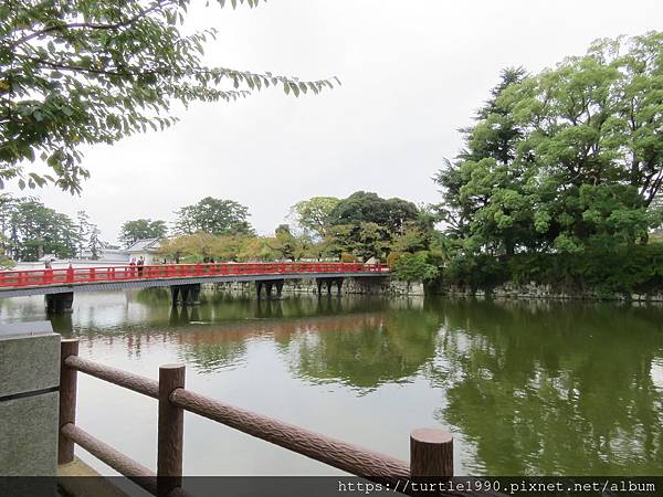 IMG_6625.JPG IMG_6625.JPG