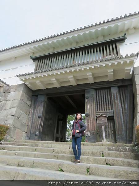 IMG_6642.JPG IMG_6642.JPG