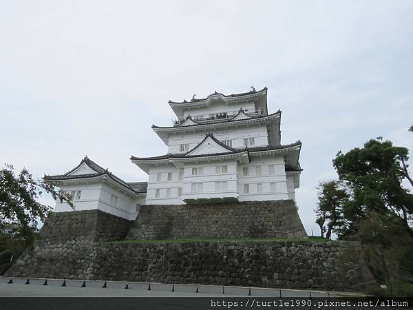 IMG_6647.JPG IMG_6647.JPG