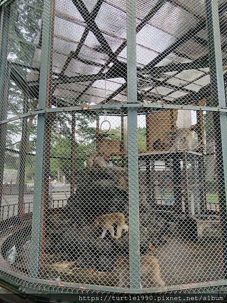 IMG_6645.JPG IMG_6645.JPG