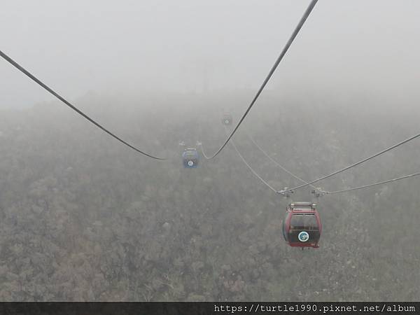 IMG_6681.JPG IMG_6681.JPG