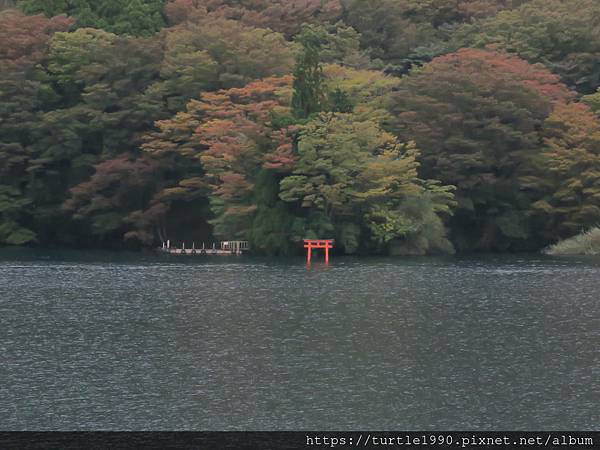 IMG_6699.JPG IMG_6699.JPG