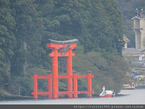 IMG_6706.JPG IMG_6706.JPG