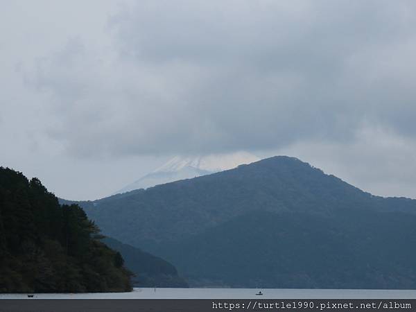 IMG_6711.JPG IMG_6711.JPG