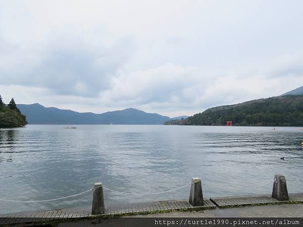 IMG_6745.JPG IMG_6745.JPG