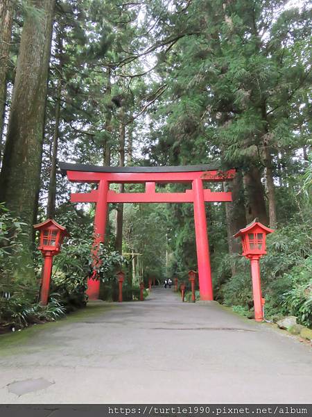 IMG_6761.JPG IMG_6761.JPG