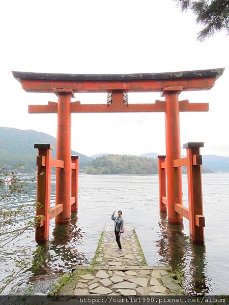 IMG_6772.JPG IMG_6772.JPG