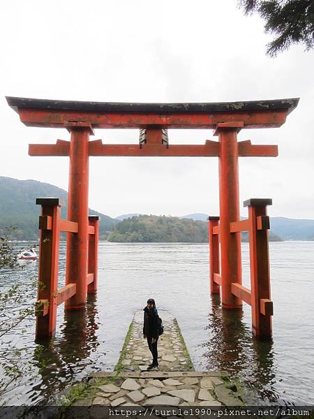 IMG_6777.JPG IMG_6777.JPG