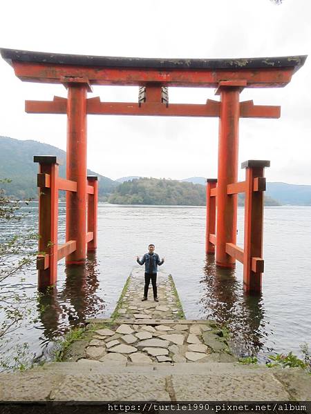 IMG_6782.JPG IMG_6782.JPG