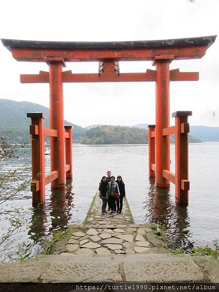 IMG_6785.JPG IMG_6785.JPG