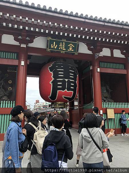 IMG_6310.jpg IMG_6310.jpg