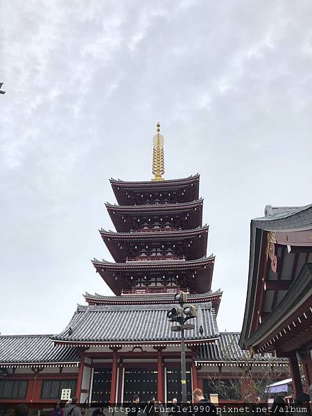 IMG_6319.jpg IMG_6319.jpg