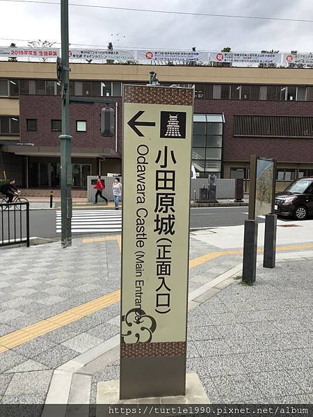 IMG_6454.jpg IMG_6454.jpg