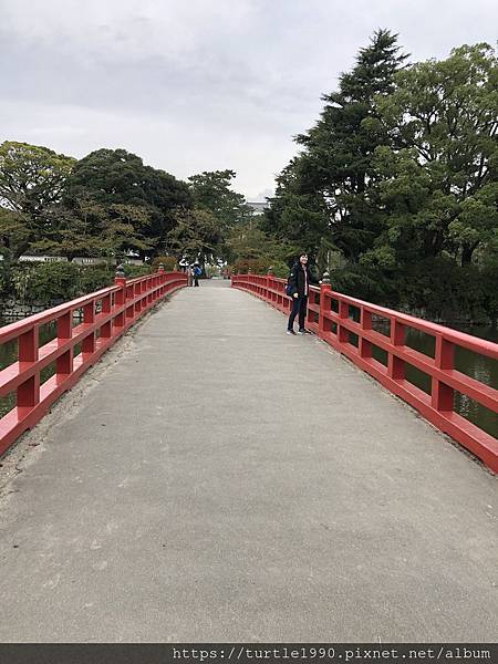 IMG_6458.jpg IMG_6458.jpg