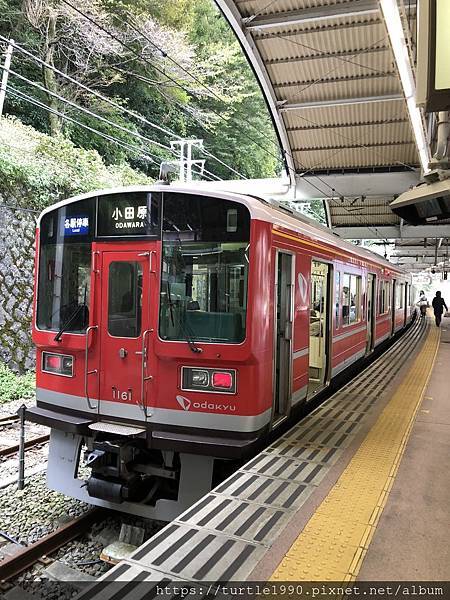 IMG_6488.jpg IMG_6488.jpg