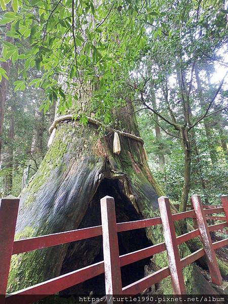 20181016_GPTempDownload (7).jpg 20181016_GPTempDownload (7).jpg