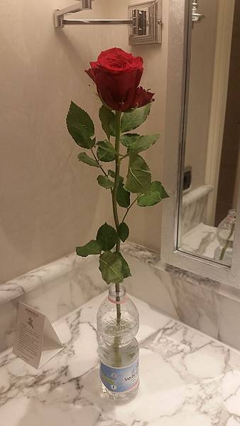 Europe 2018 1112.jpg