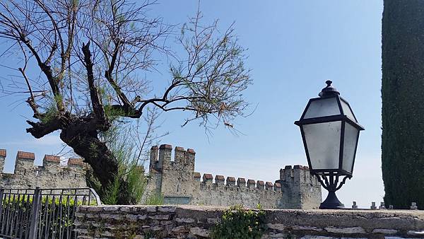 Europe 2018 1298.jpg